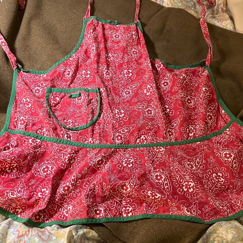 Bandana fabric vintage handmade apron with green trim